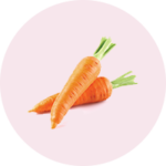 carrot