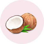 coconut