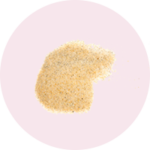 sand 2 sand 2